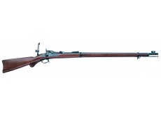 SPRINGFIELD TRAPDOOR LONG RANGE 45/70