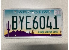 VERITABLE PLAQUE D IMMATRICULATION ARIZONA BYE6041
