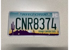 VERITABLE PLAQUE D IMMATRICULATION ARIZONA CNR8374
