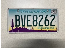 VERITABLE PLAQUE D IMMATRICULATION ARIZONA BVE8262