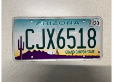 VERITABLE PLAQUE D IMMATRICULATION ARIZONA CJX6518
