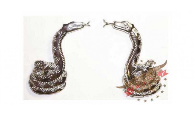 INSERT RATTLESNAKE