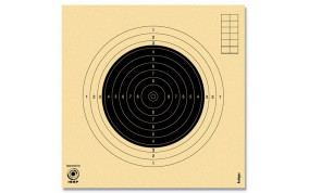100 CIBLES CARABINE NUMEROTEES 50m 20x20cm