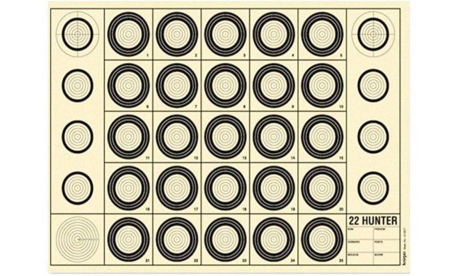 100 CIBLES BENCHREST 22 HUNTER 42x29.7cm