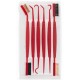 SET DE NETTOYAGE BROSSES ET GRATTOIRS REAL AVID