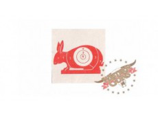 Cible Lapin 10x10